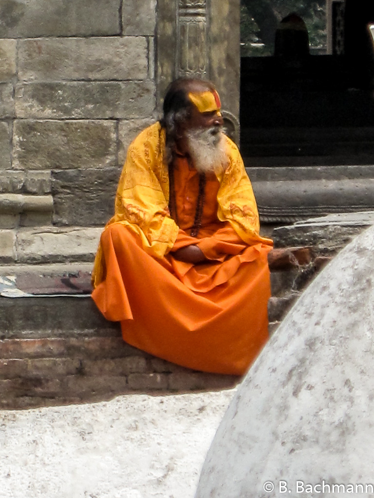 IMG_2582.jpg