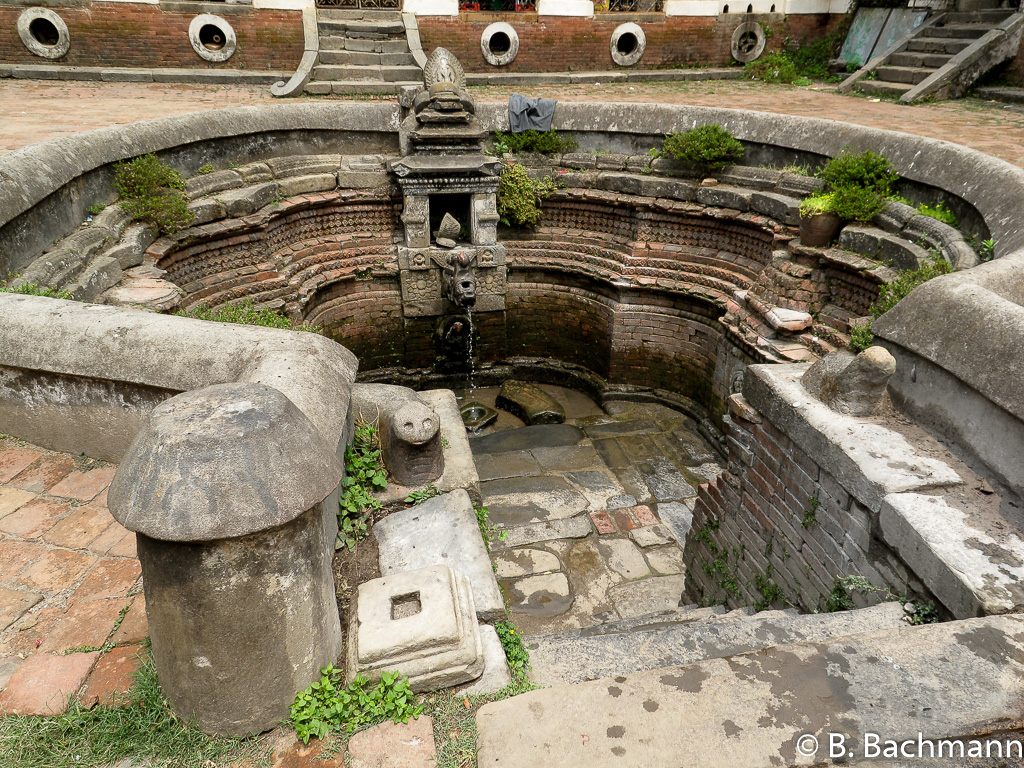 IMG_2612-copy.jpg