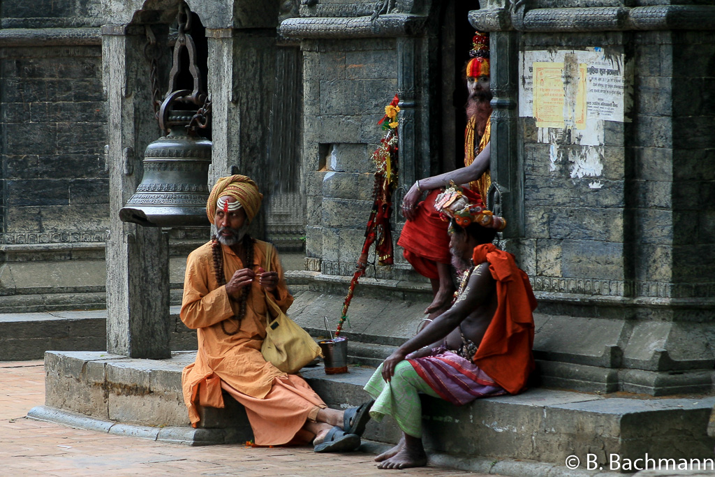 IMG_6099-copy.jpg
