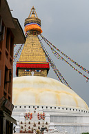 IMG_6183.jpg
