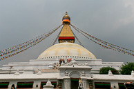 IMG_6185.jpg