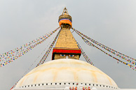 IMG_6186.jpg