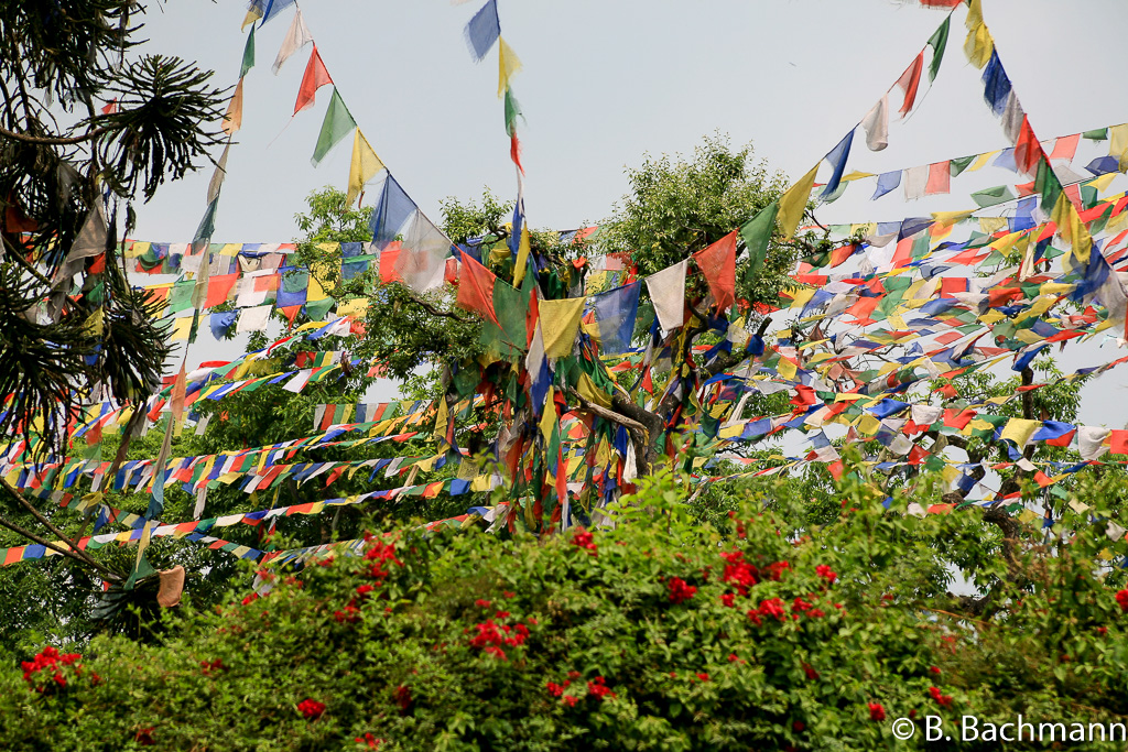 Swyambhunath_0082.jpg