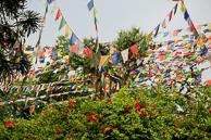Stupa Swayambhunath Stupa Swayambhunath
