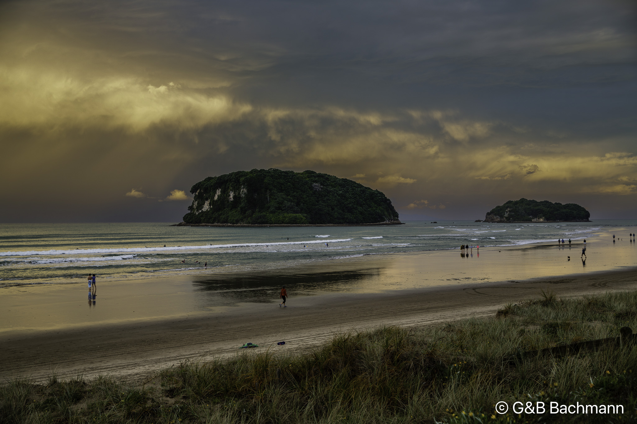 7S8B4432_DxO.jpg