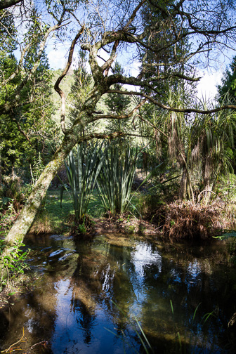 2.1 Te Wairoa - Buried Village 2.1 Te Wairoa - Buried Village