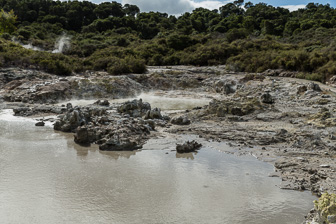 2.2 Rotorua - Hells Gate 2.2 Rotorua - Hells Gate