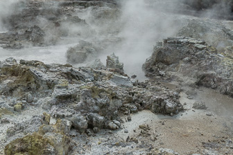 7S8B4505.jpg