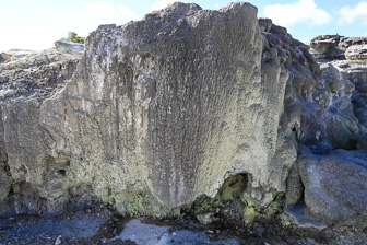7S8B4642.jpg