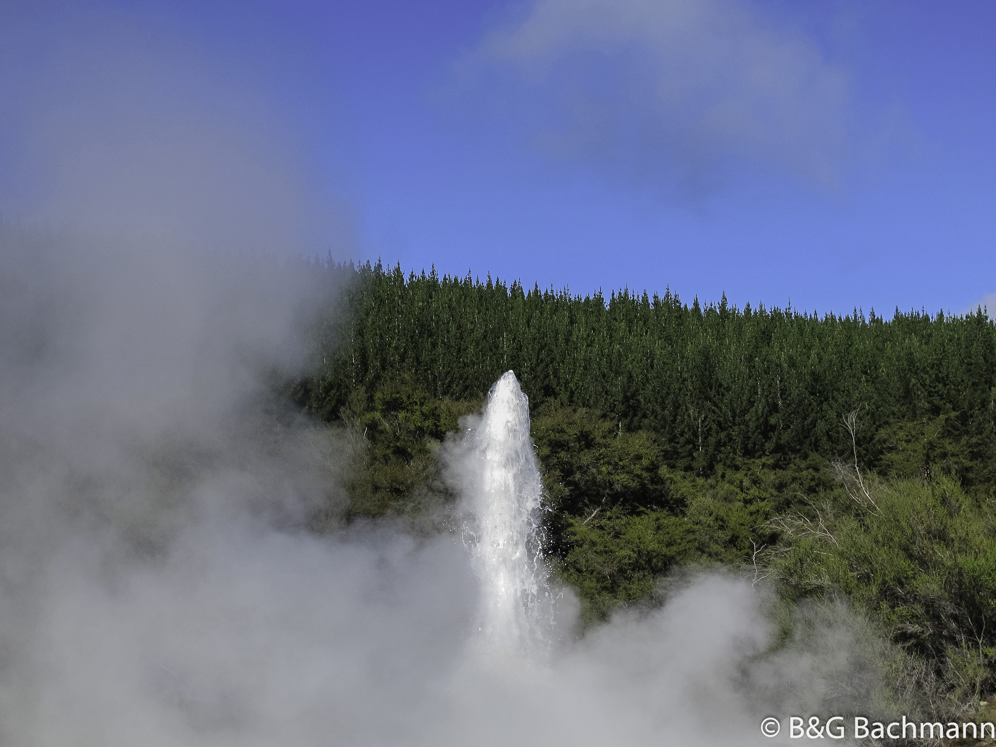 IMG_5398.jpg