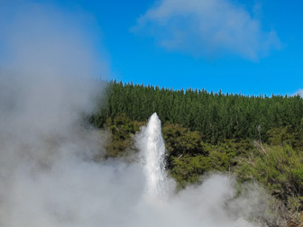 3.2 Rotorua - Wai O Tapu - Lady Knox Geyser 3.2 Rotorua - Wai O Tapu - Lady Knox Geyser