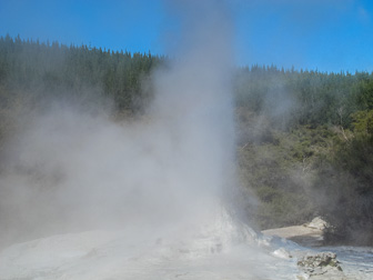 IMG_5403.jpg