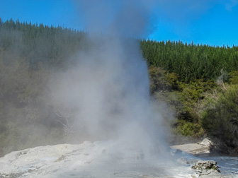 IMG_5405.jpg