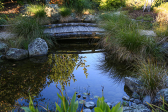6.1 Nelson - Founders Heritage Park - Japanese Garden