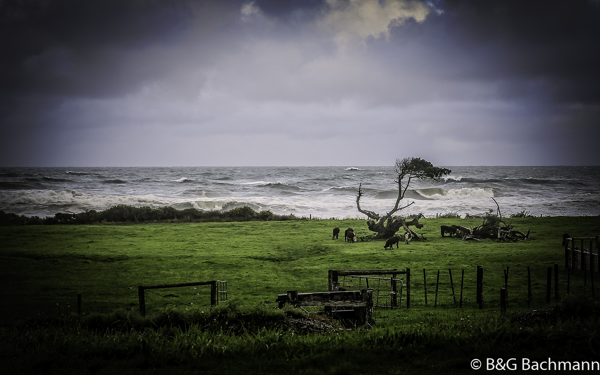 7S8B5403-Edit.jpg