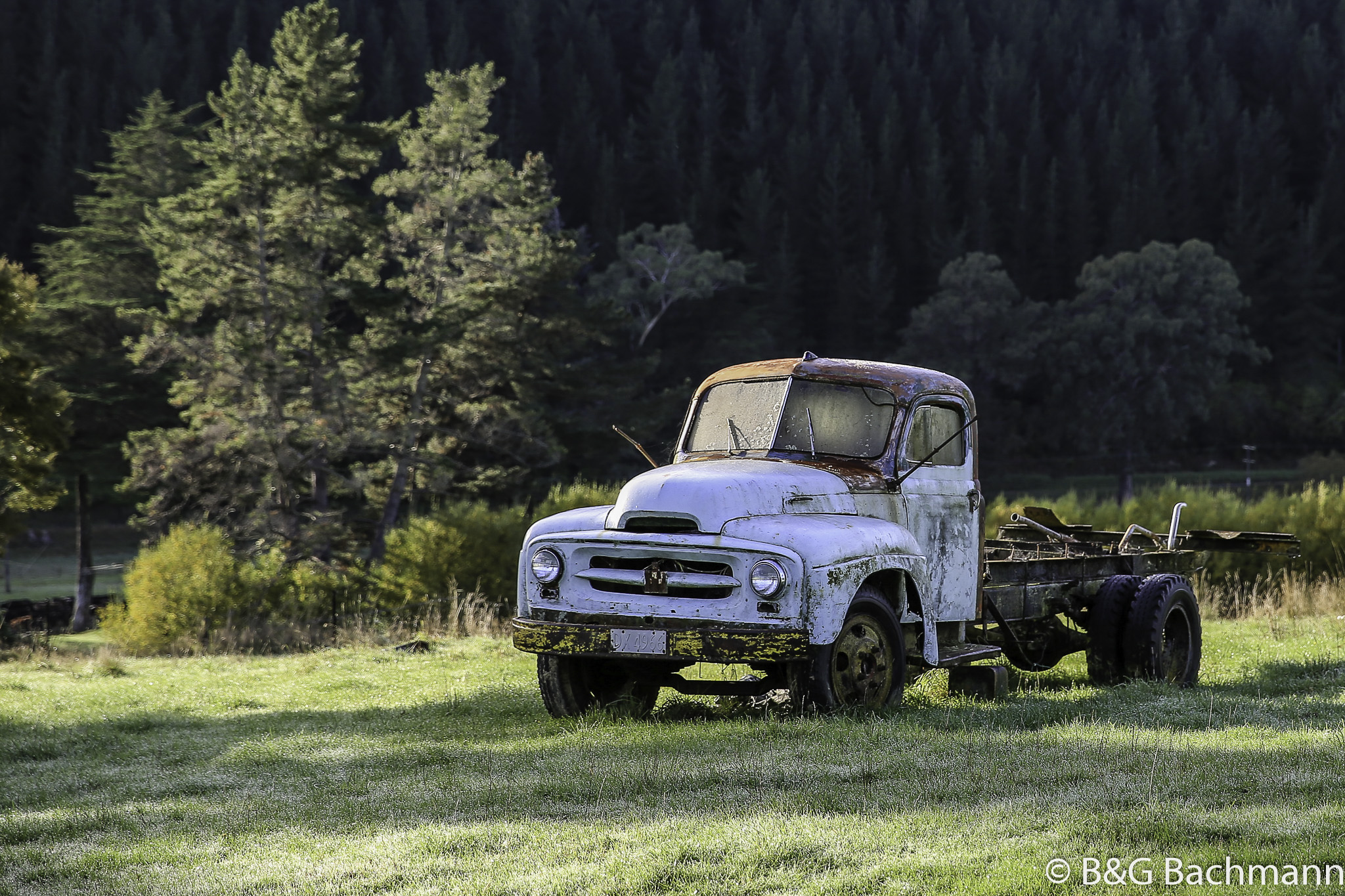 7S8B5311-2.jpg