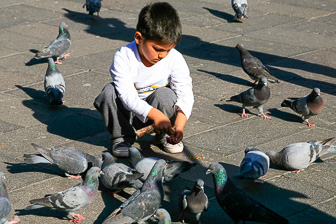 Arequipa_0059.jpg
