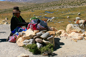 Colca_0027.jpg