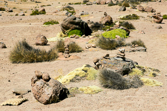 Colca_0048.jpg