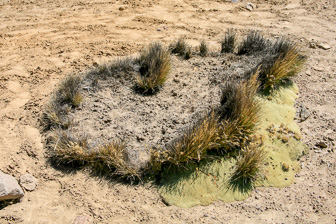 Colca_0049.jpg