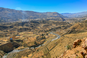 Colca_0073.jpg
