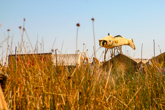 Titicaca_0048.jpg