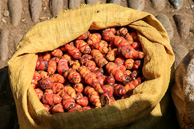 Pisac_0105.jpg