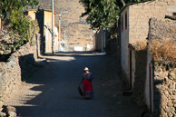 Yanke_0016.jpg