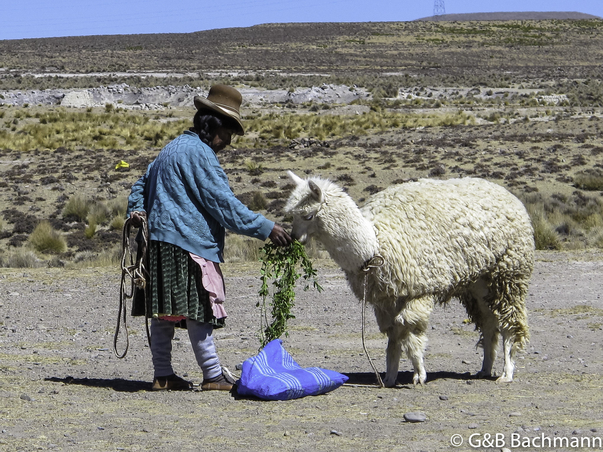 201808_Peru_Colca.jpg