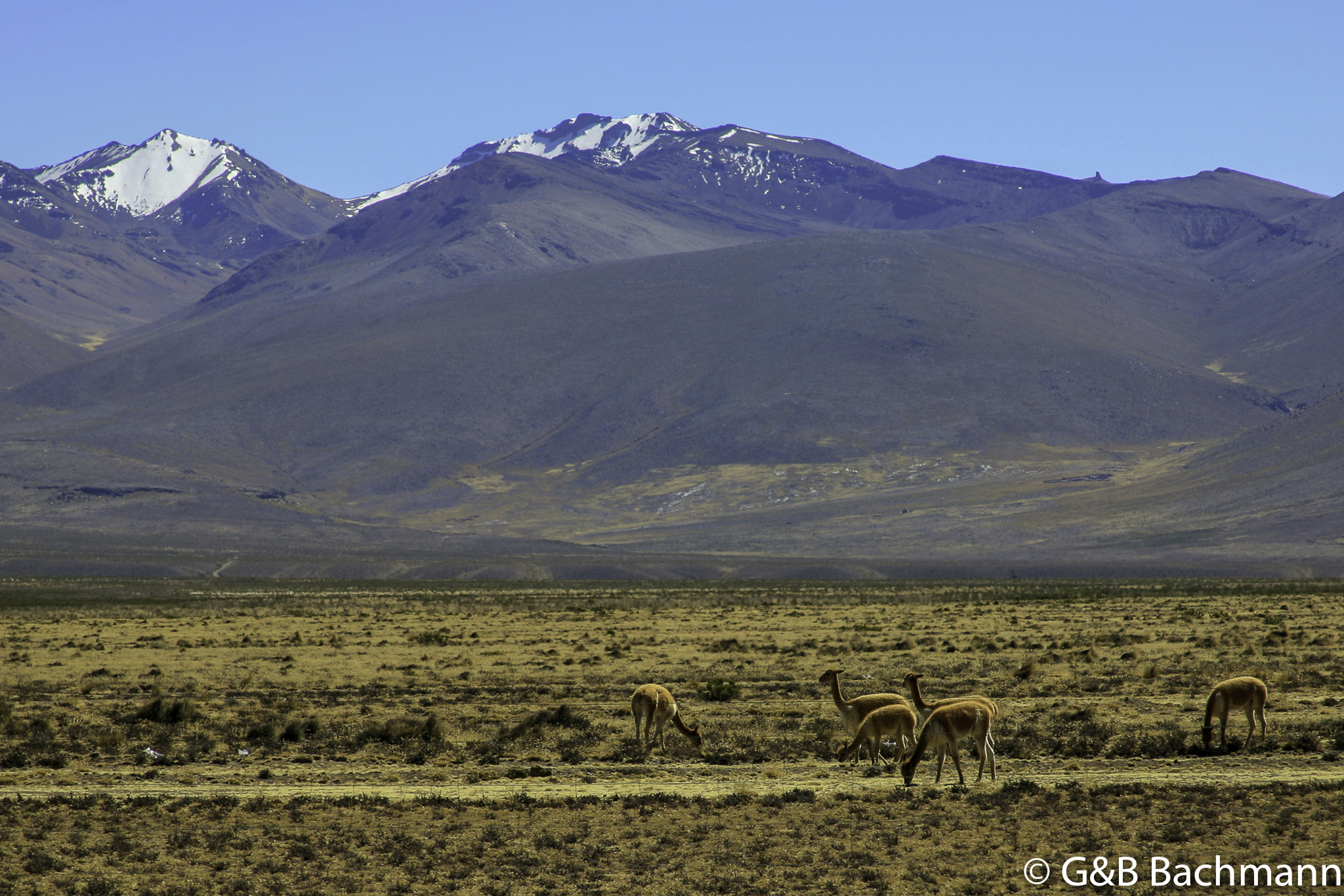 Colca_0004.jpg