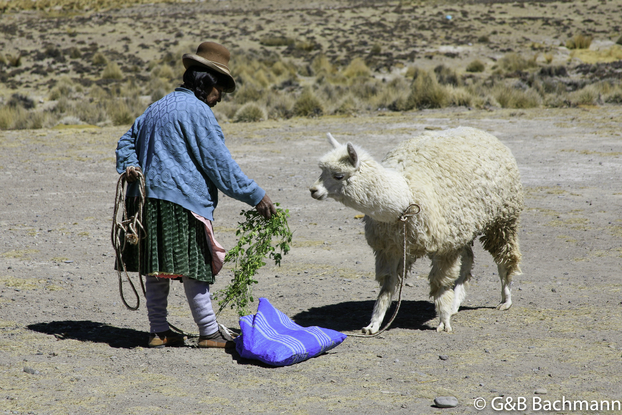 Colca_0013.jpg