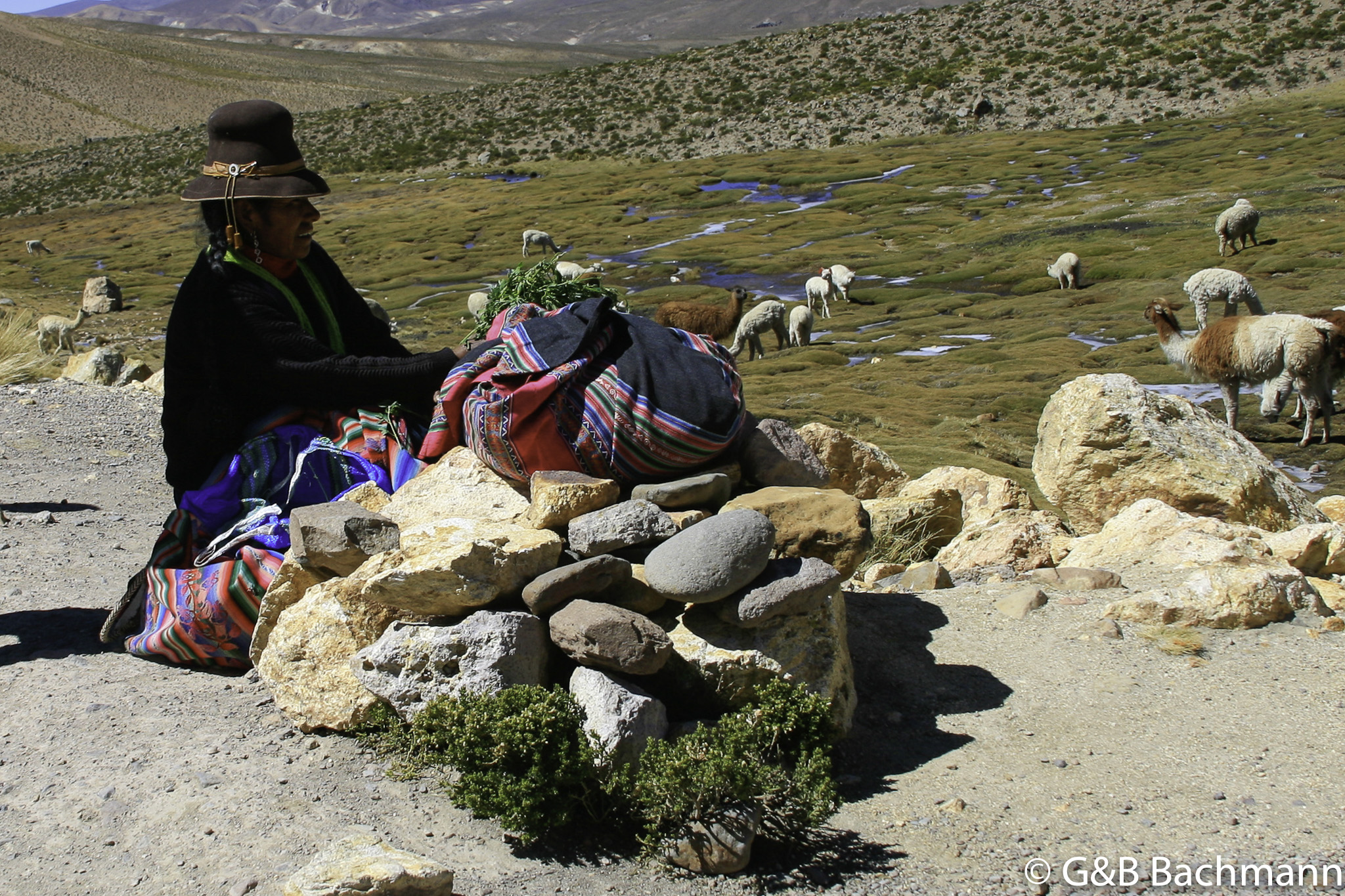 Colca_0027.jpg