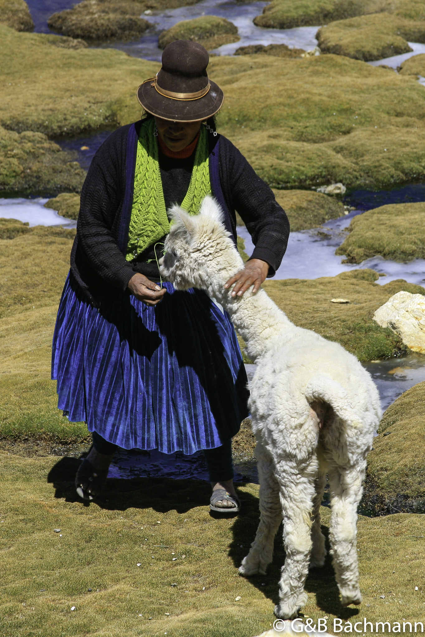 Colca_0028.jpg