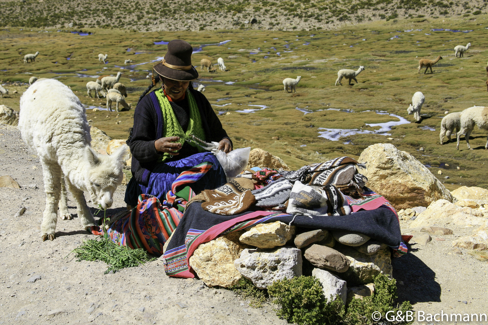 Colca_0031.jpg