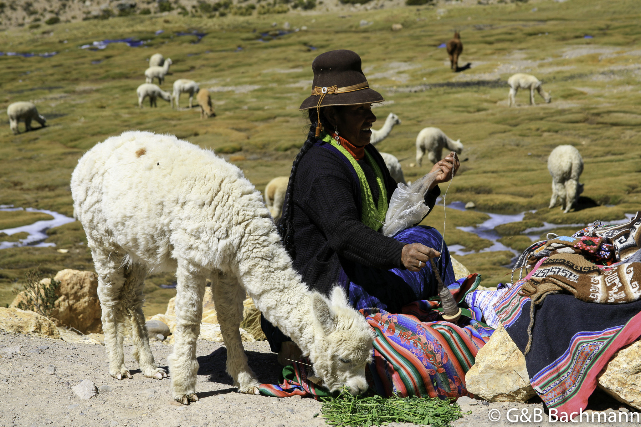 Colca_0032.jpg