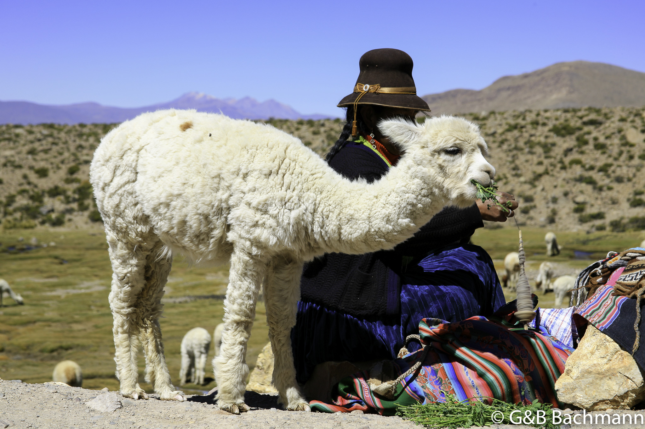 Colca_0033.jpg