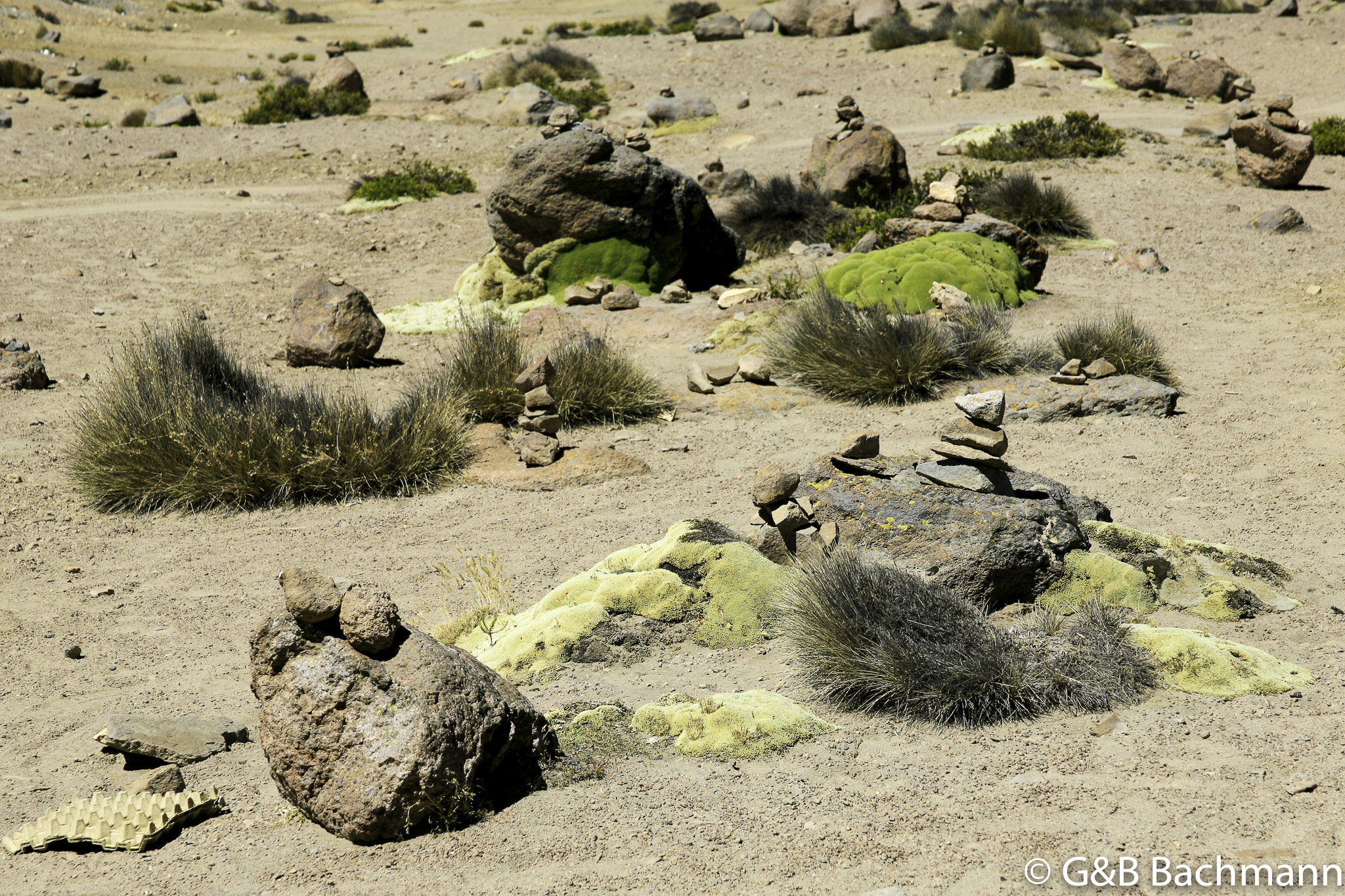 Colca_0048.jpg