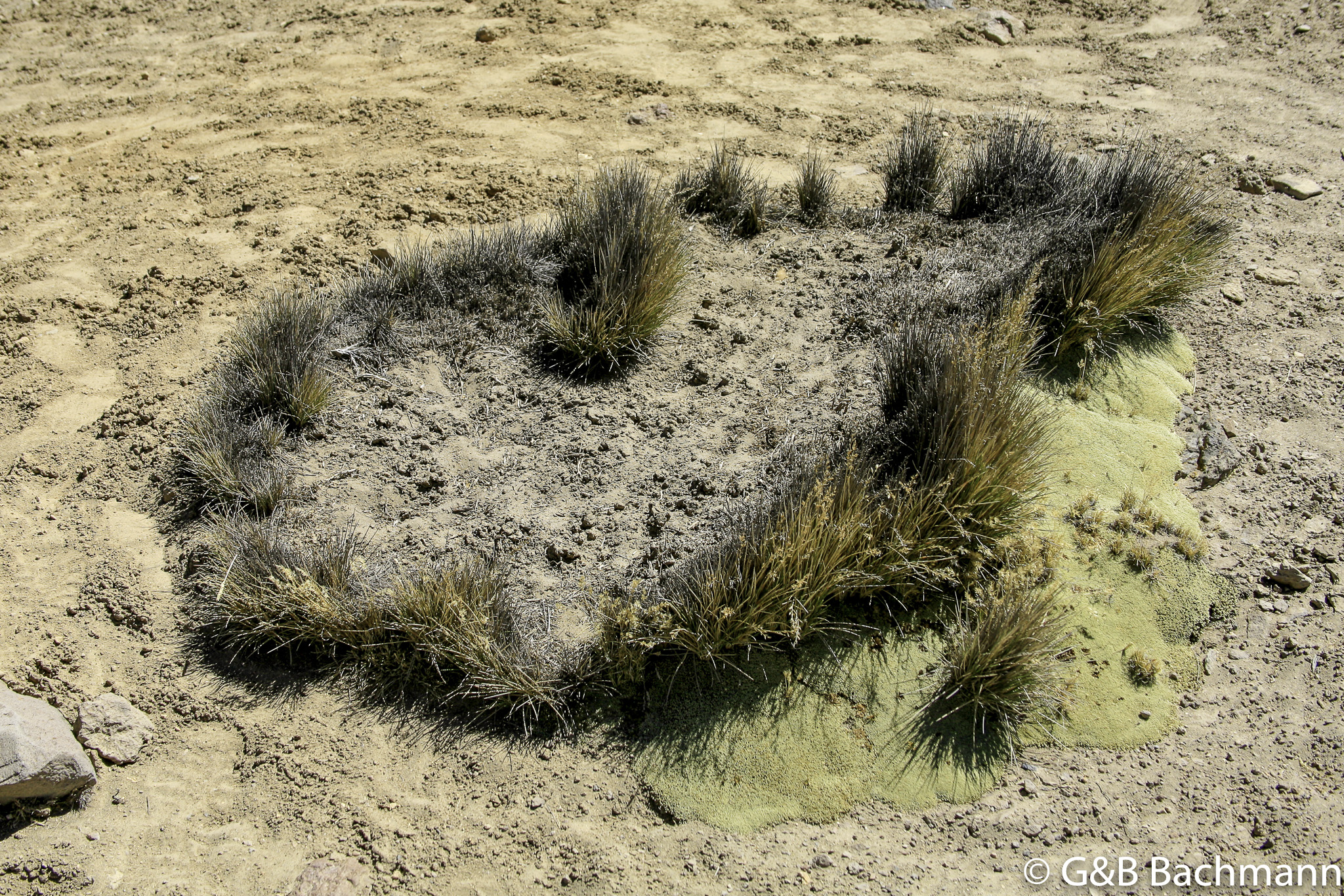 Colca_0049.jpg