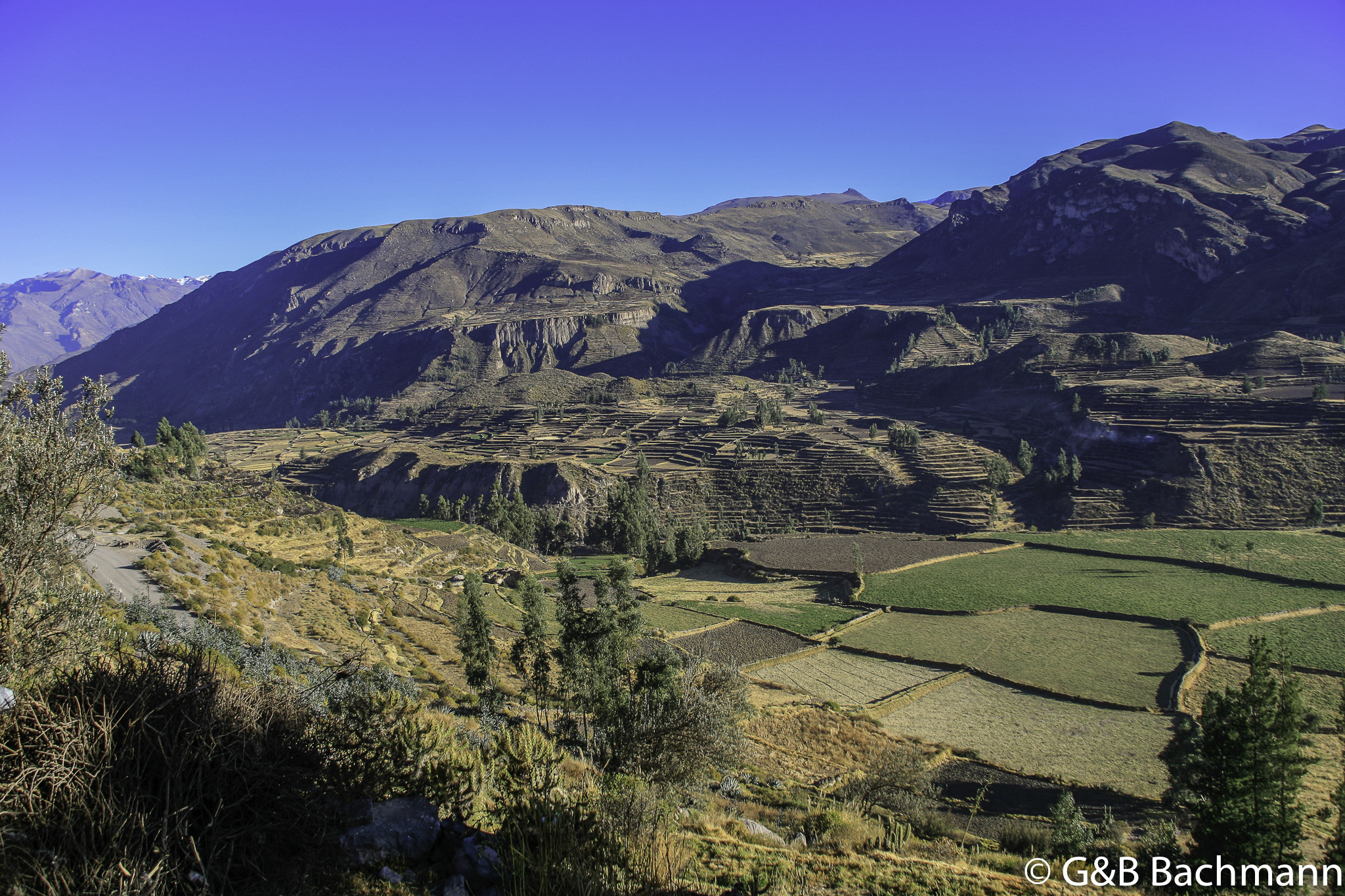 Colca_0058.jpg