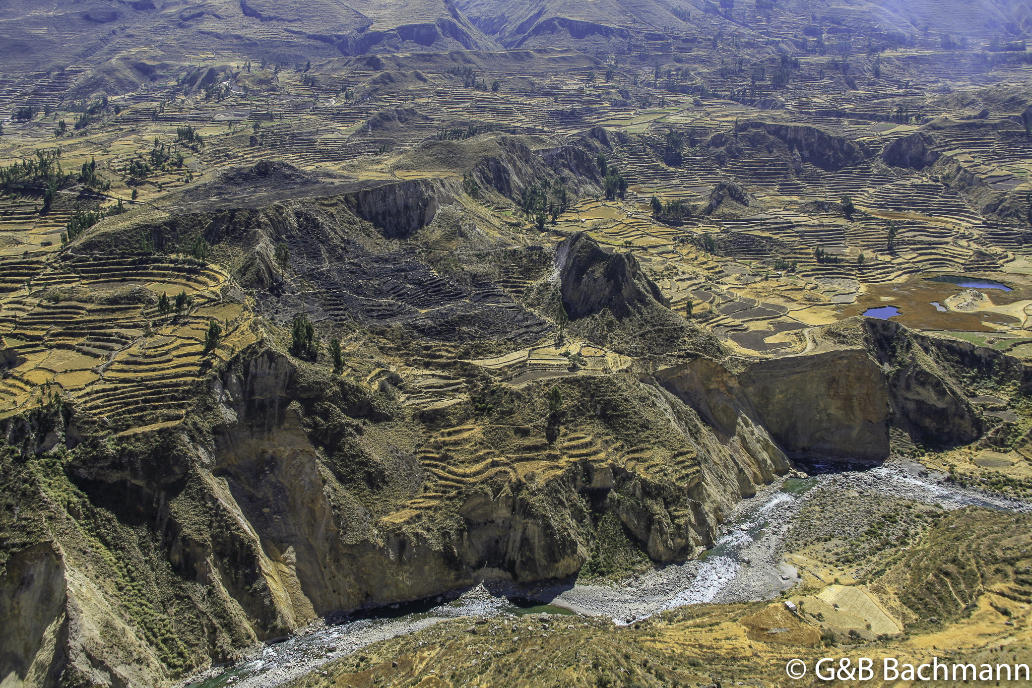 Colca_0070.jpg