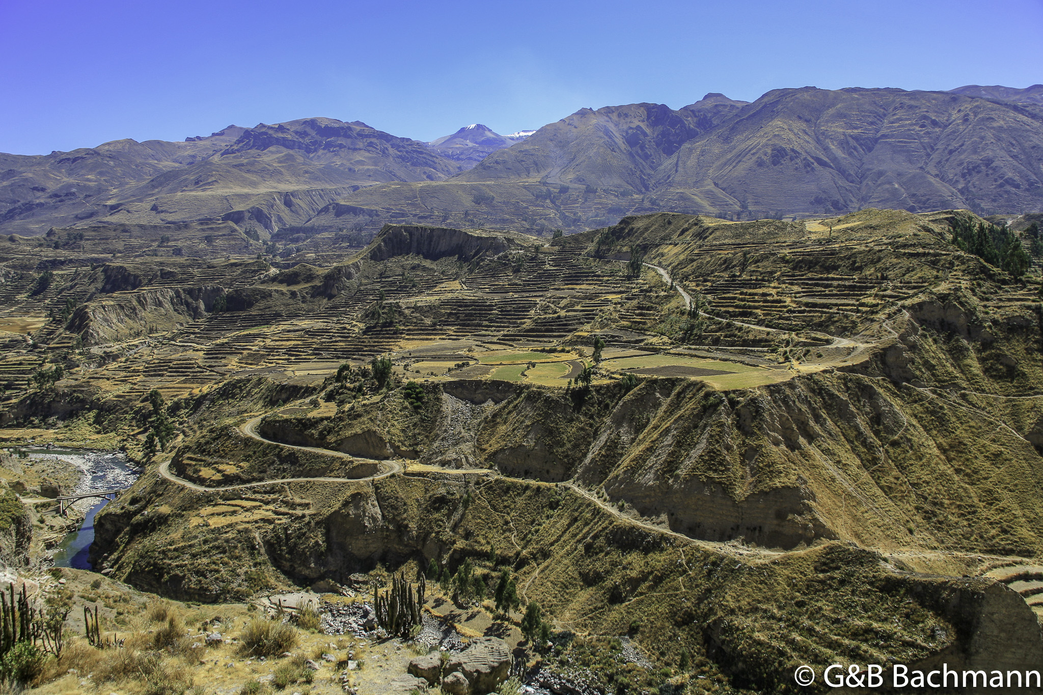 Colca_0074.jpg