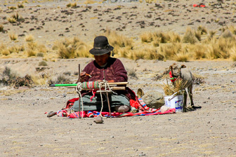 Colca_0012.jpg