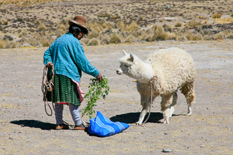 Colca_0013.jpg
