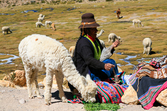 Colca_0032.jpg