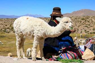 Colca_0033.jpg