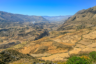 Colca