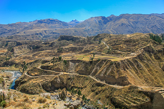 Colca_0074.jpg