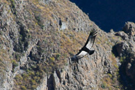 Cruz-del-Condor_0007.jpg