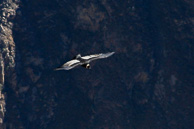 Cruz-del-Condor_0012.jpg