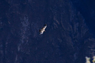 Cruz-del-Condor_0020.jpg